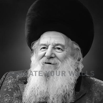 Novominkser Rav