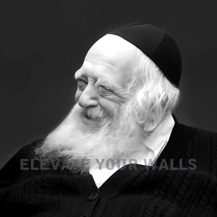 R Chaim Kanievsky